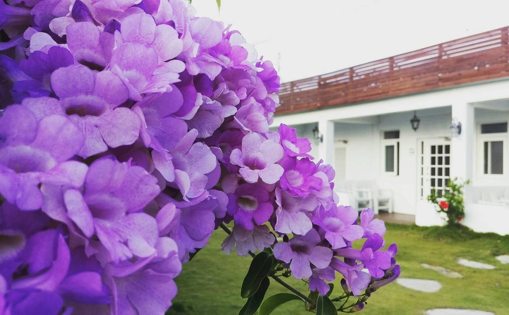 Love Summer Hostel Kenting Buitenkant foto